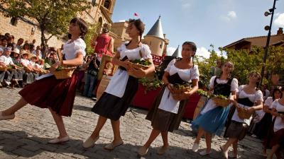 Nafarroako mahats-bilketaren festa